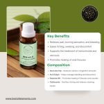 BOE No. 6 P-F Element Drops