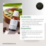 BOE No.15 CCF Element Drops